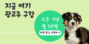 광고주 구합니다