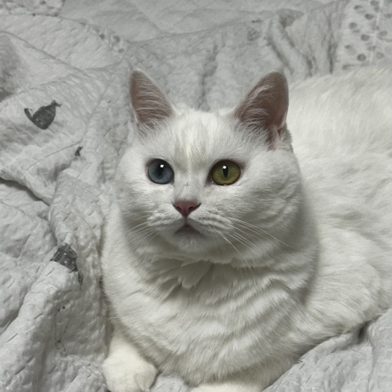 테스트